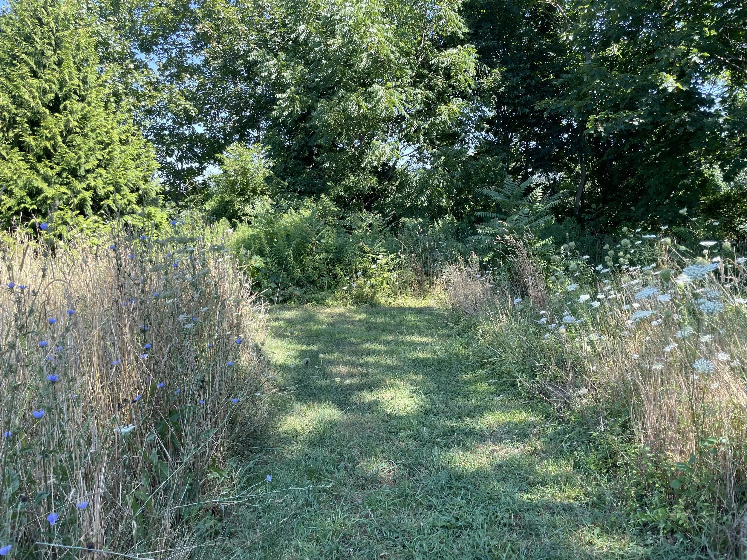 IMG_2540.jpeg
