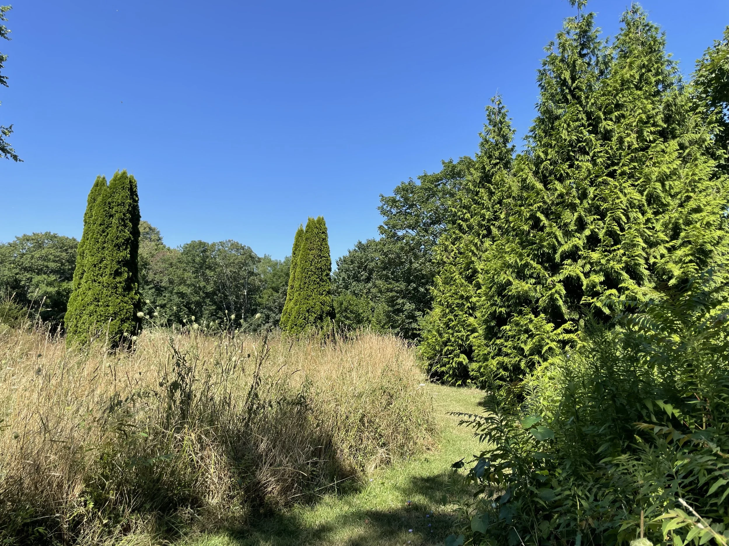 IMG_2544.jpeg