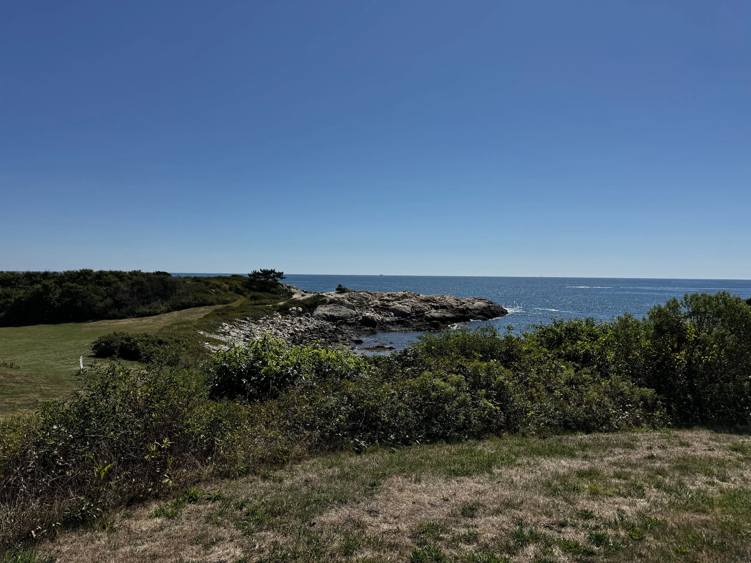 IMG_5950.jpeg