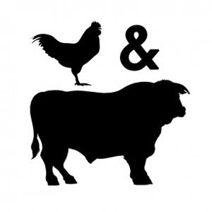 cock-and-bull.jpg