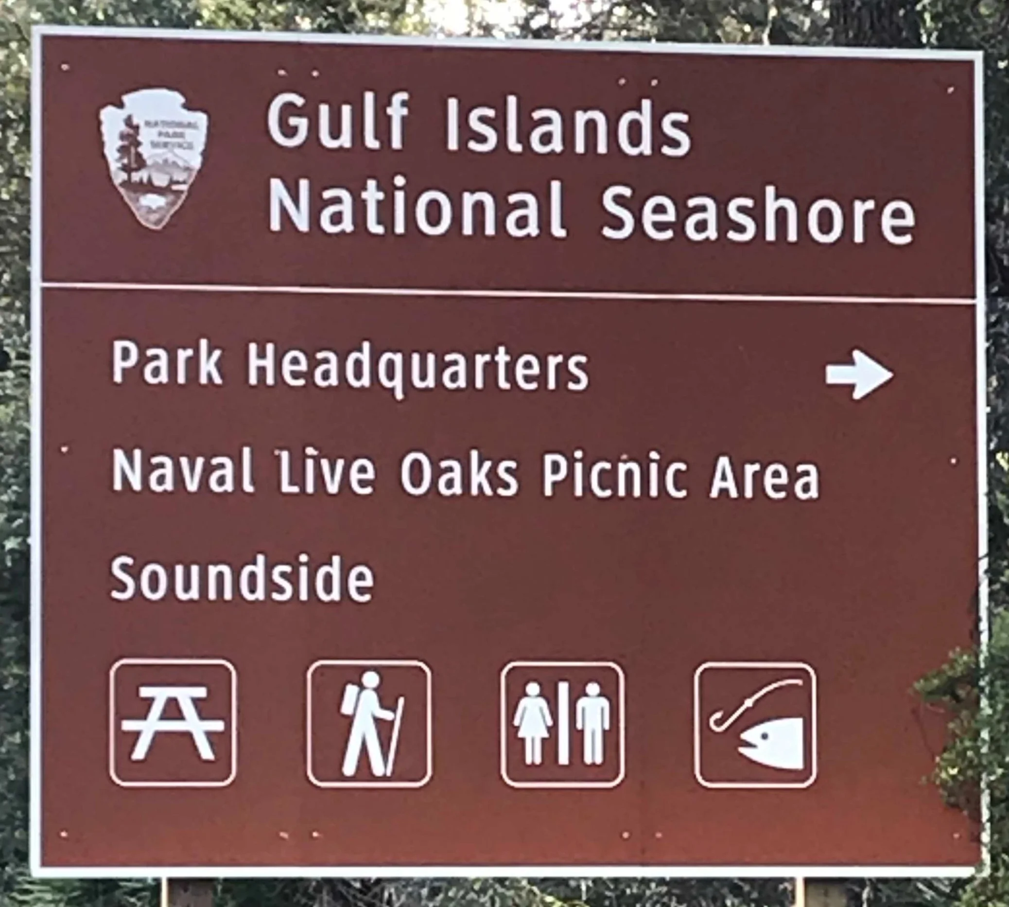NLO Sign.jpg