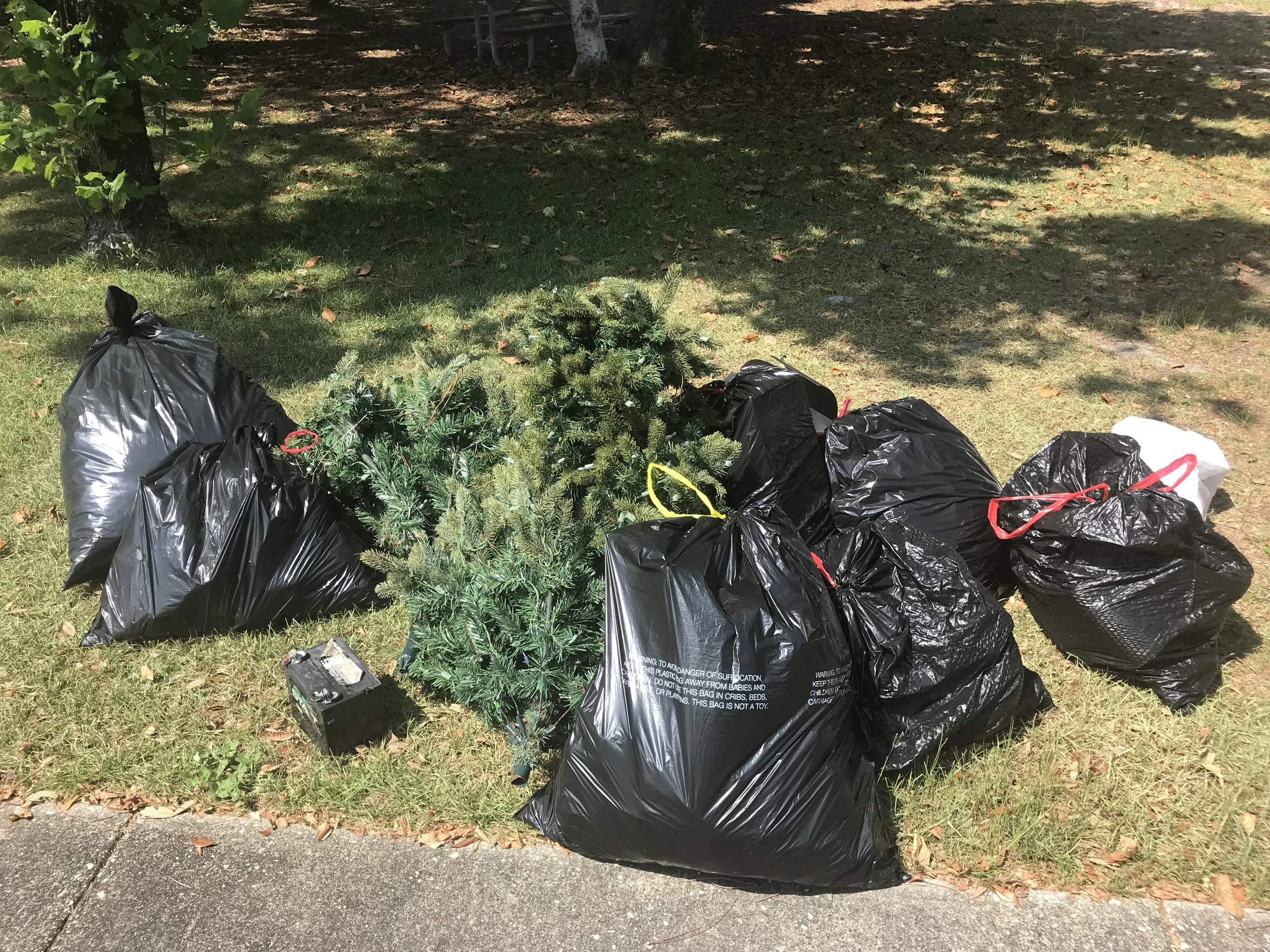 24 NLO bags.jpg