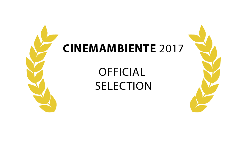 CinemAmbiente official_selection-01.png