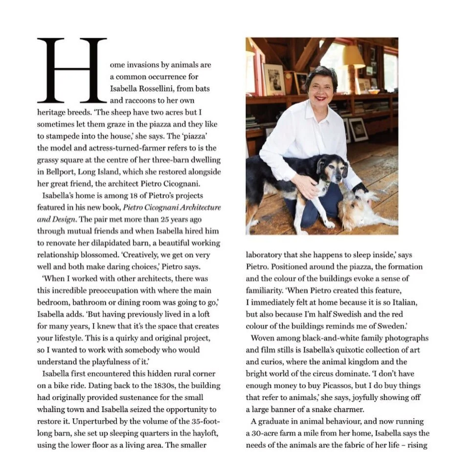 **Highlight of lockdown 3** Interviewing Isabella Rossellini and Pietro Cicognani over zoom. A glorious window into the outside world filled with inspiring lifestyle choices, laughter and animals. Isabella is such an original. I&rsquo;m longing to se