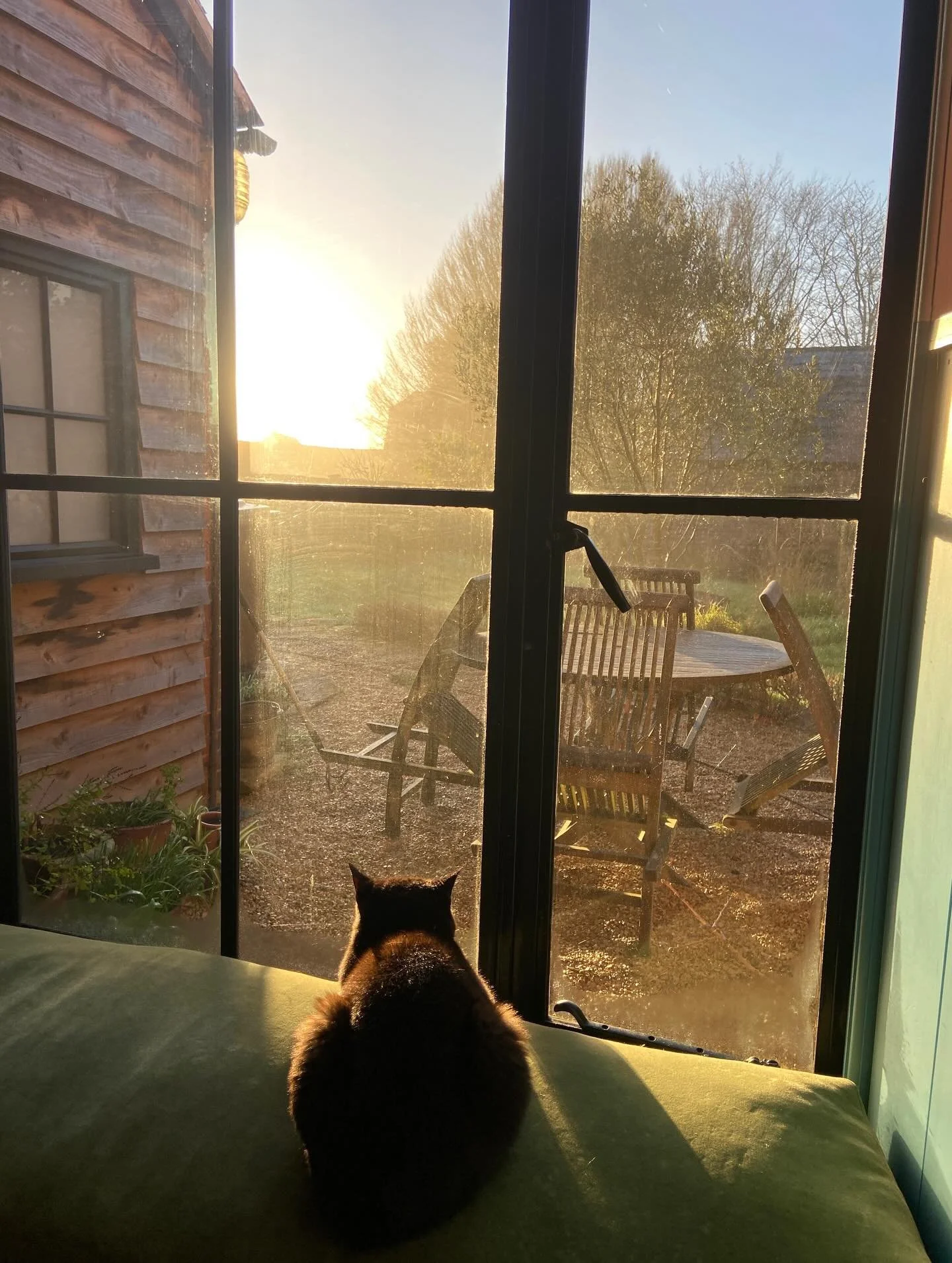 Scenes from November in Oxon 🍁🍂