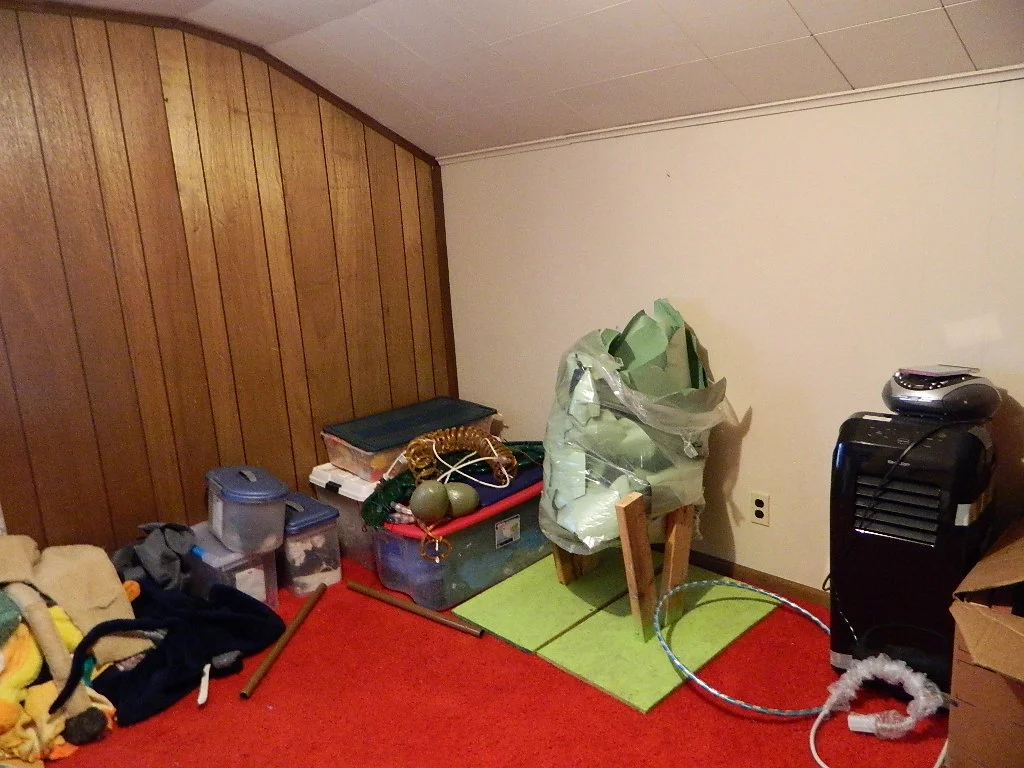 DSCN4611.JPG