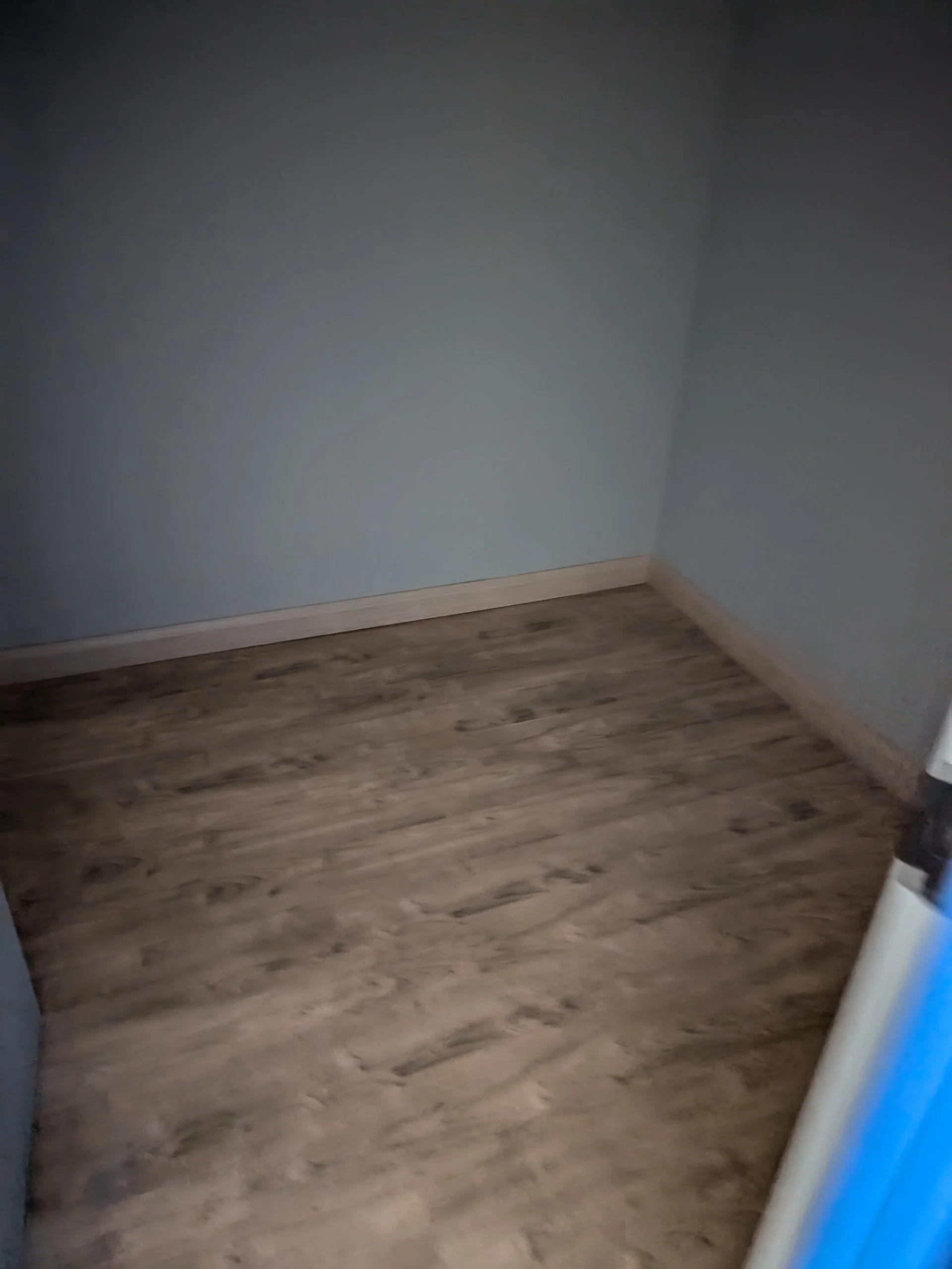 PXL_20250828_175241651.jpg