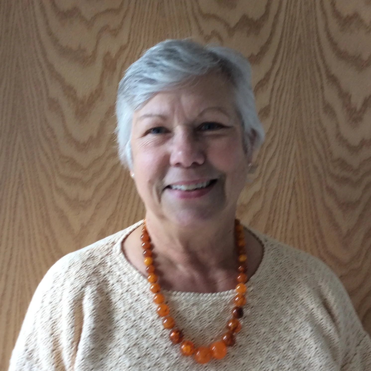 LISA DAILY, CHAIR Newburgh Planning Board, Resident Ward 1