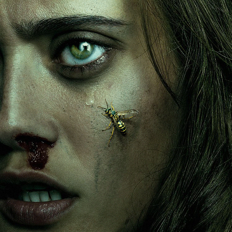 Yellowjackets.gif