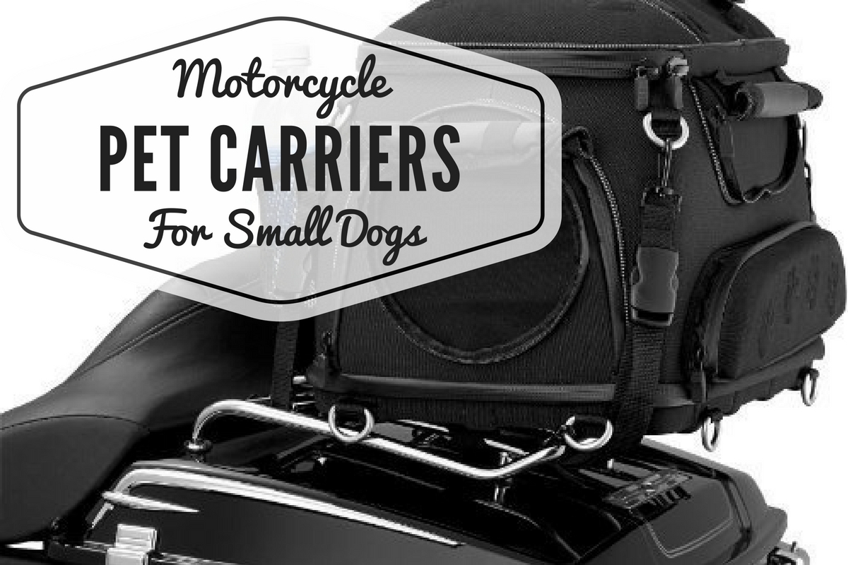 motorcycle tank pet carrier