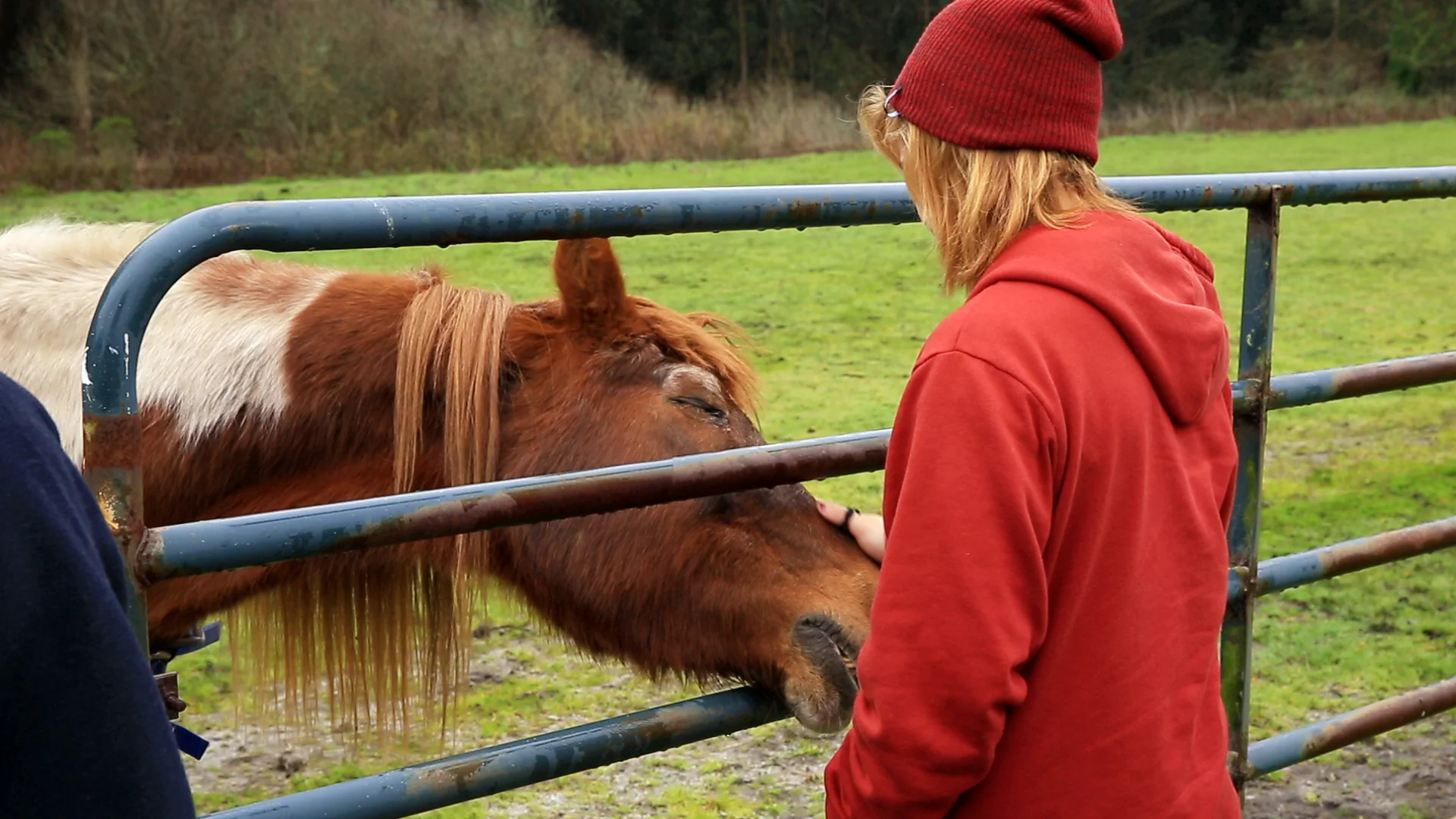 Hannah-Horse.jpg