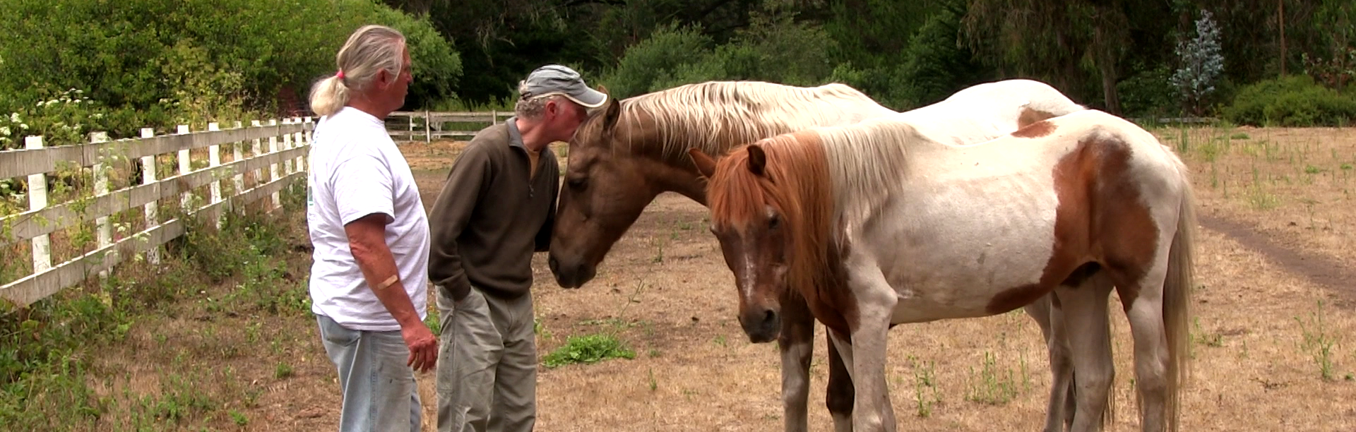 SteveJohnHorses.png