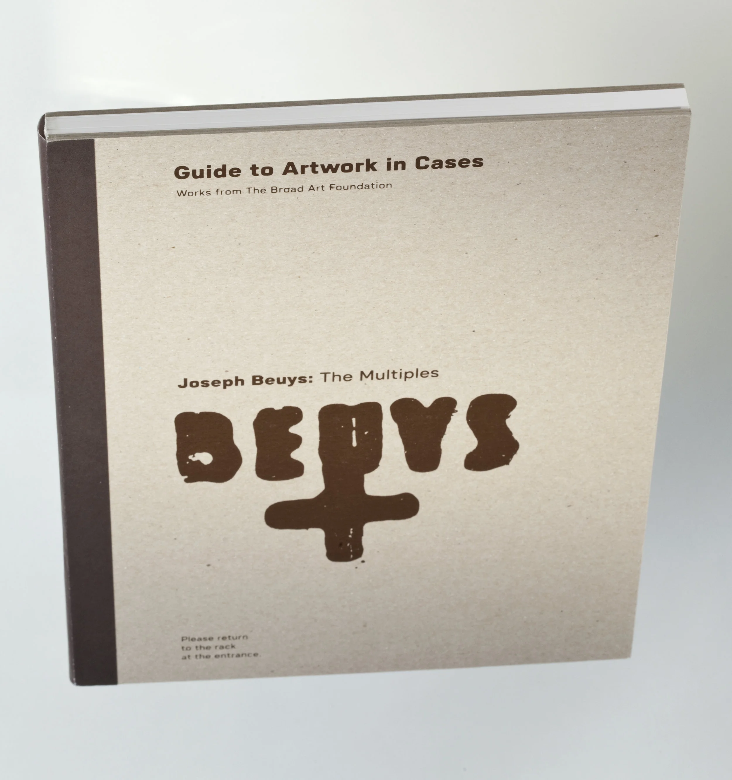 Bueys book cover WEB.jpg