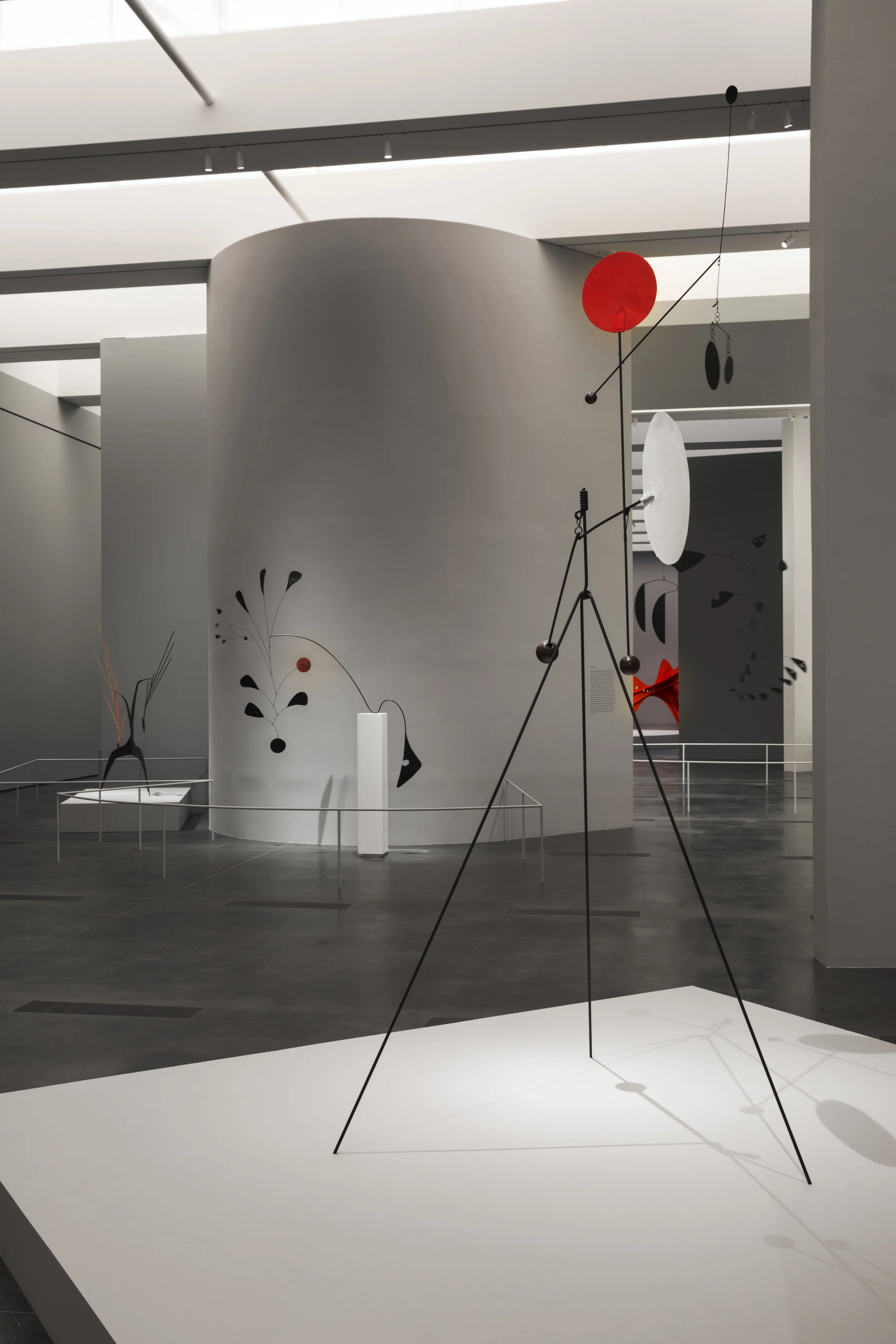 Calder  small didactic WEB.jpg