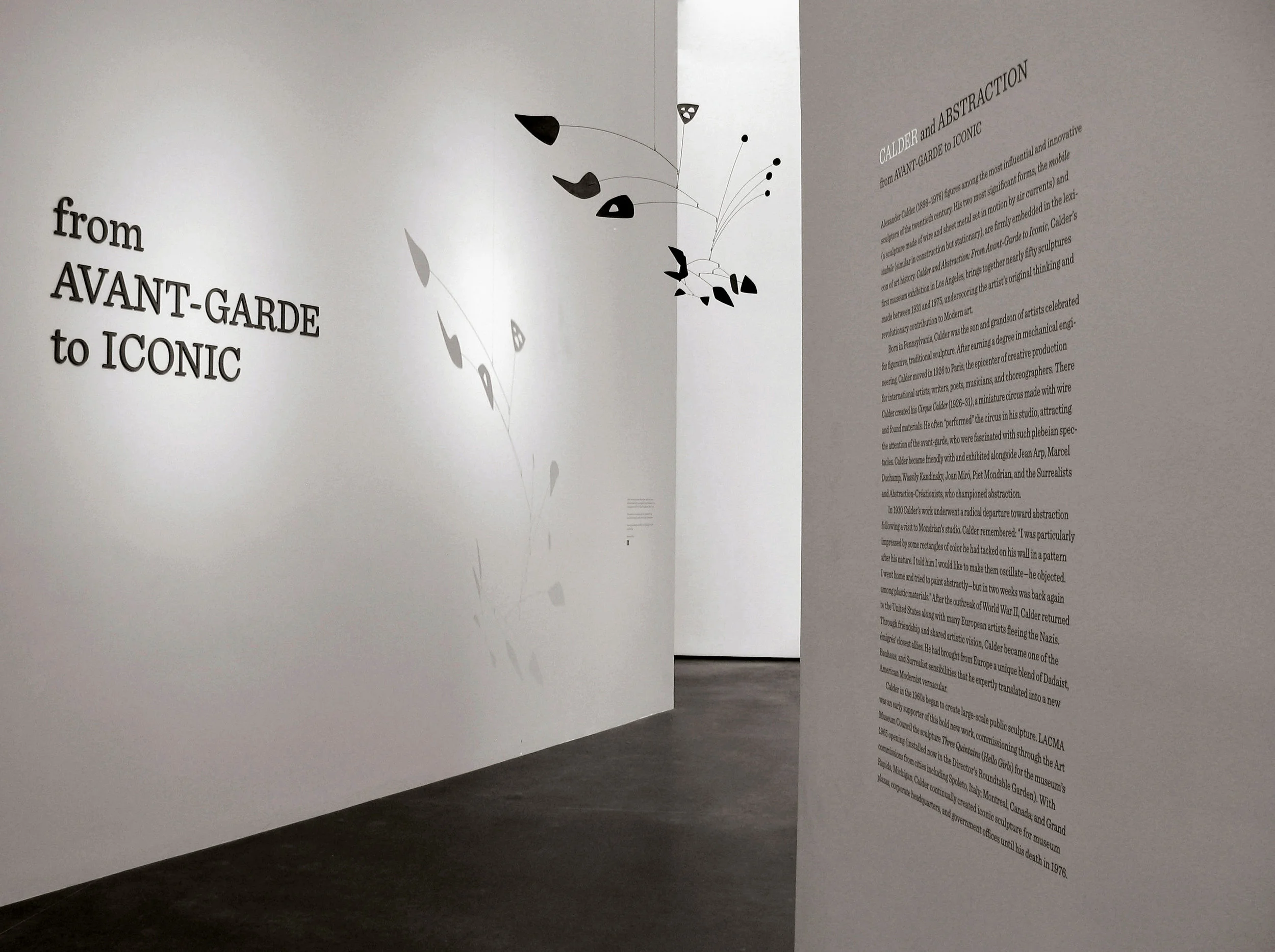 Calder Title didactic NEW.jpg