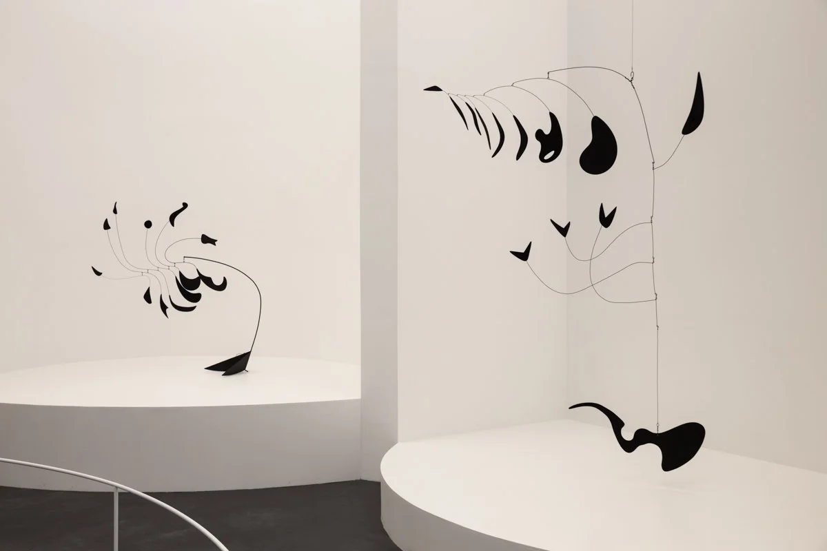 20131116_LACMA_Calder_0075 copy.jpg