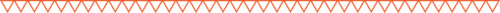 iguana-divider-orange.png