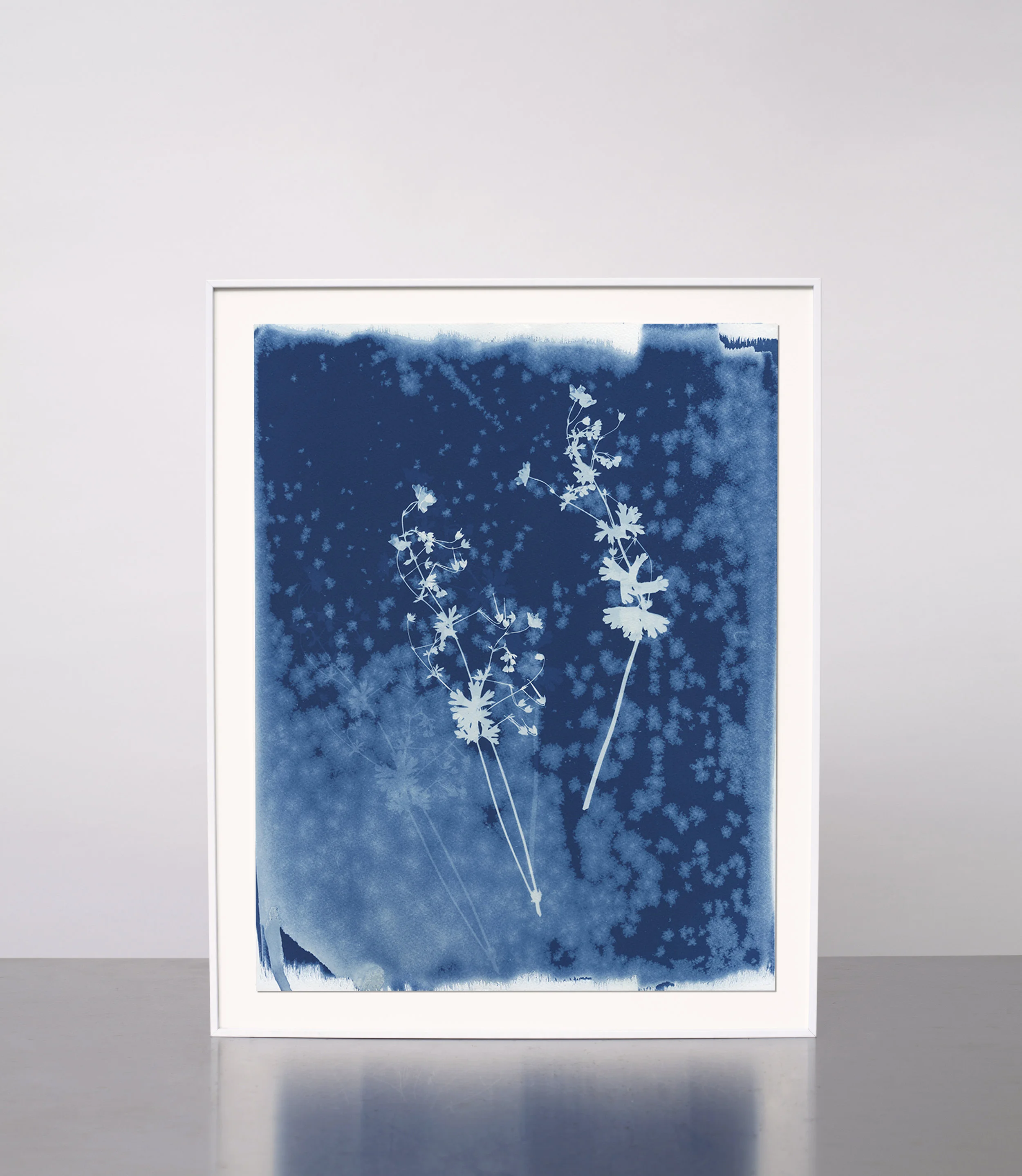 KasiaWozniak_Cyanotype_05.jpg