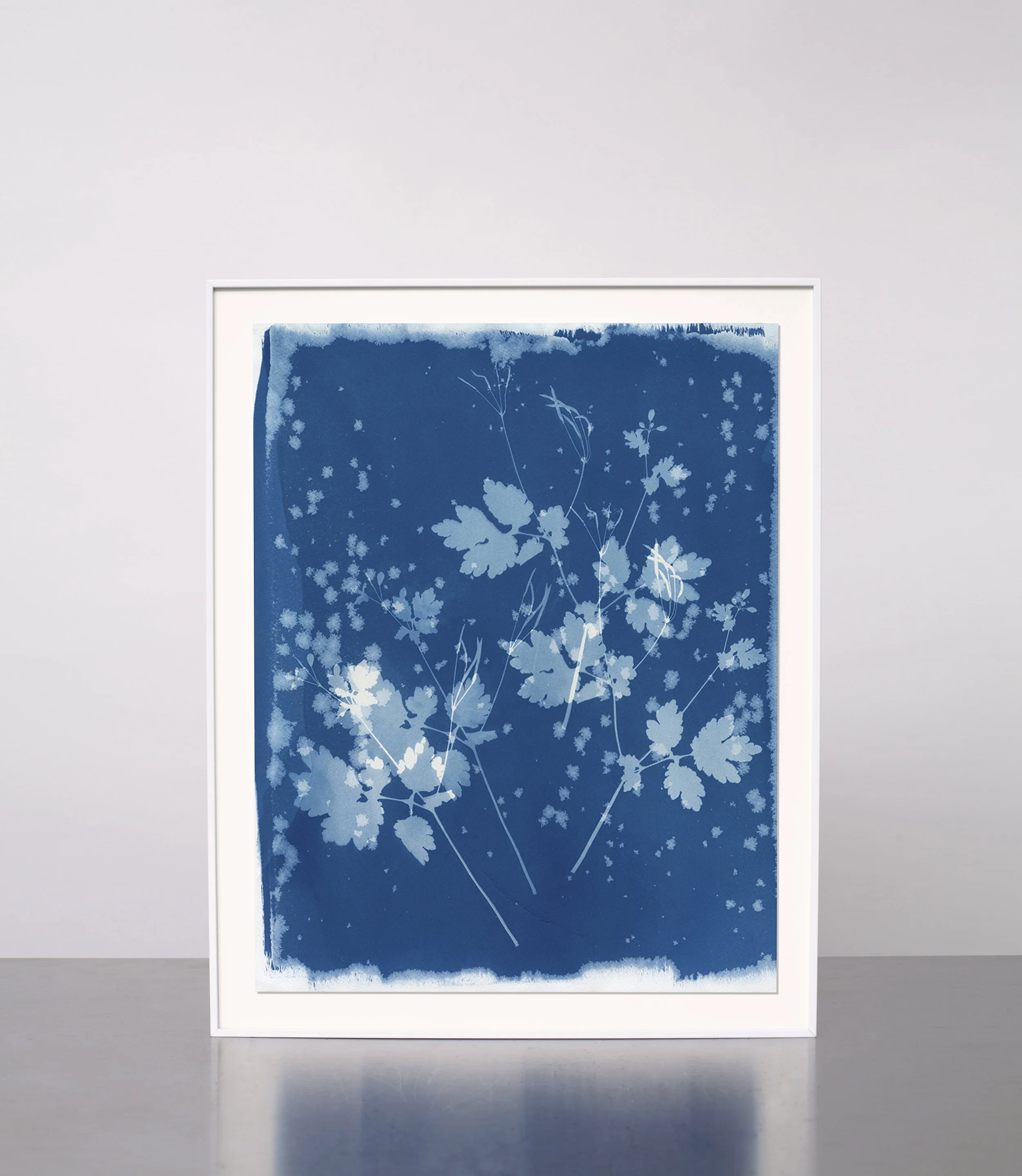 KasiaWozniak_Cyanotype_07.jpg