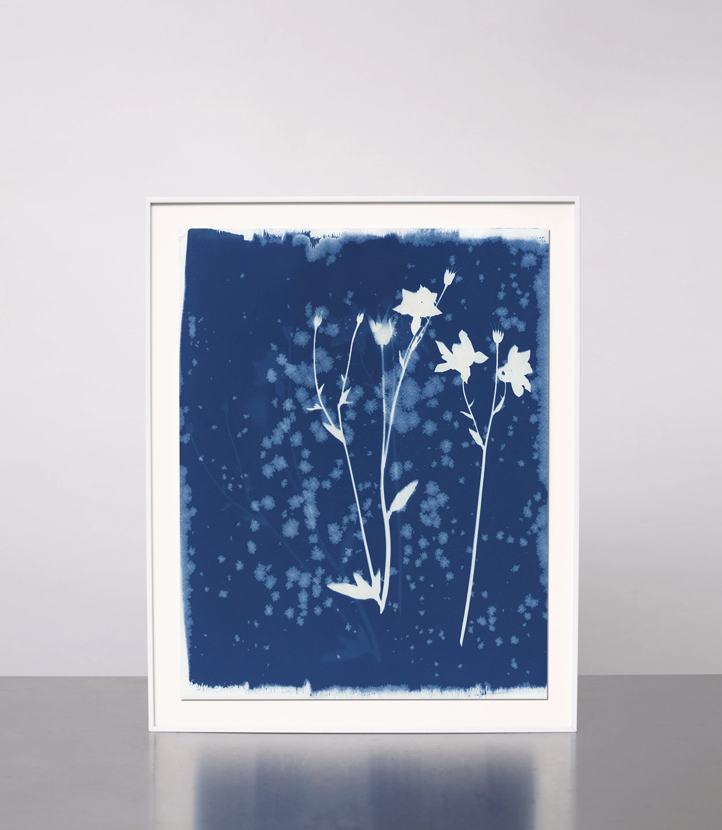 KasiaWozniak_Cyanotype_04.jpg