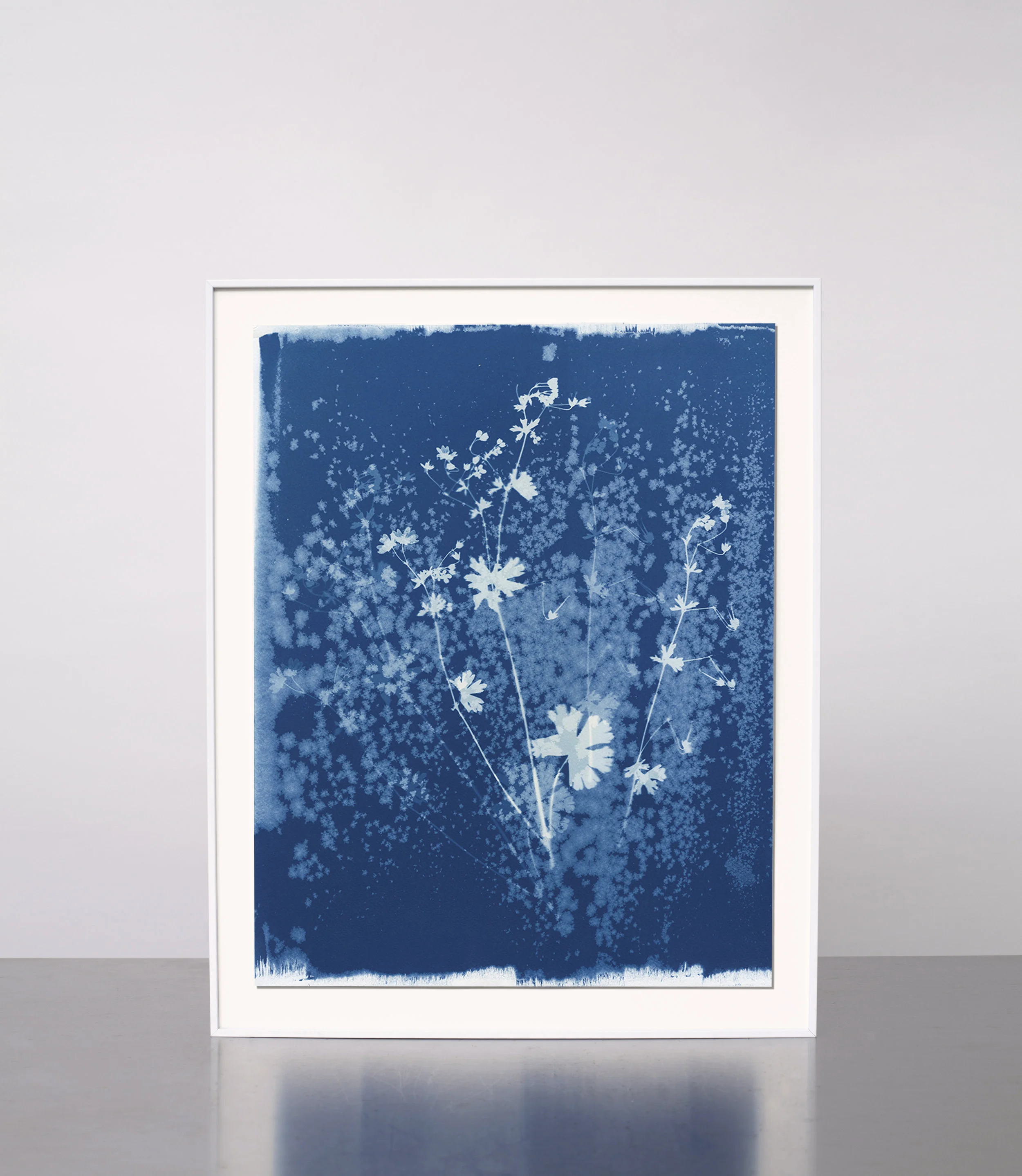 KasiaWozniak_Cyanotype_08.jpg