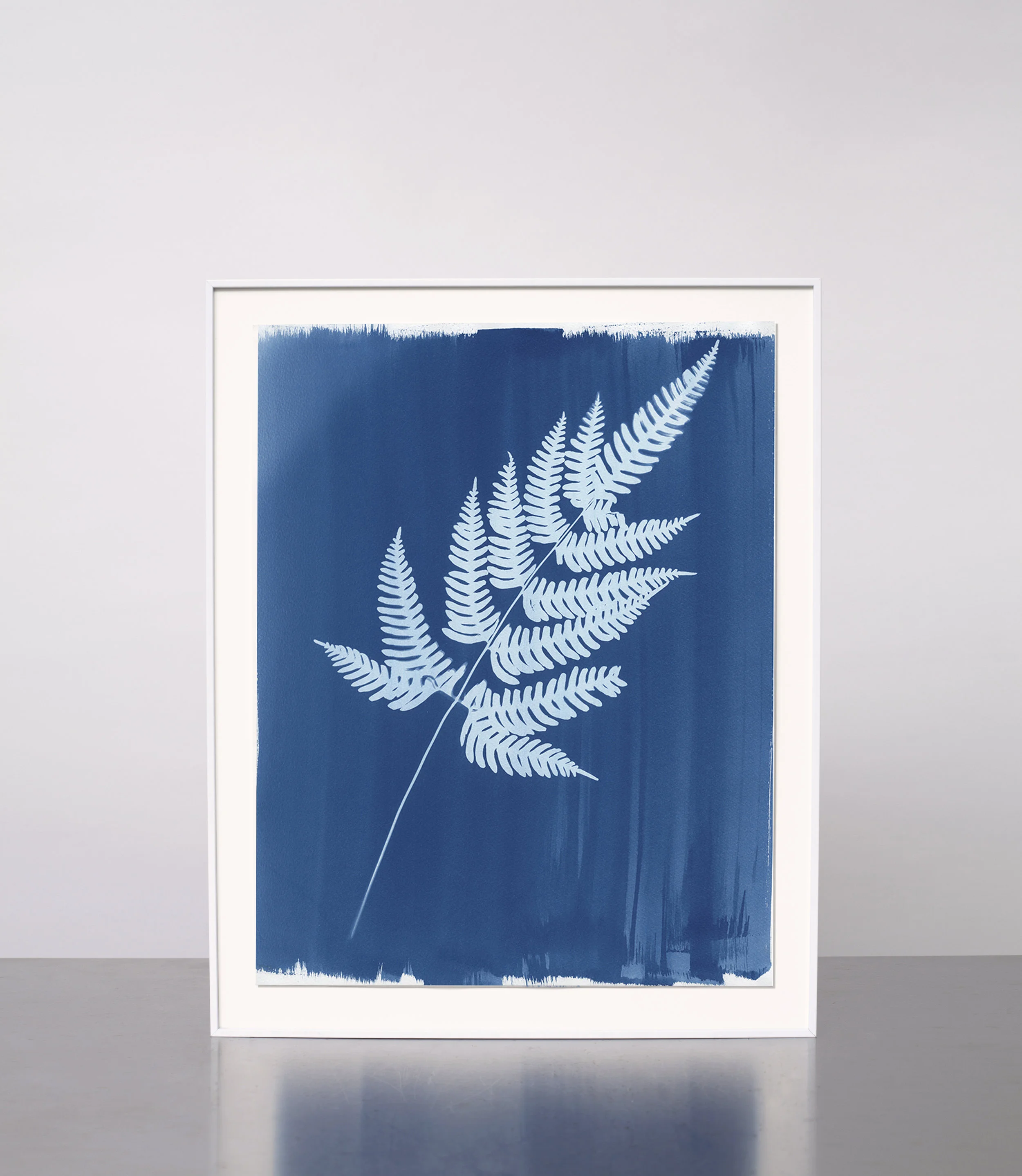 KasiaWozniak_Cyanotype_13.jpg