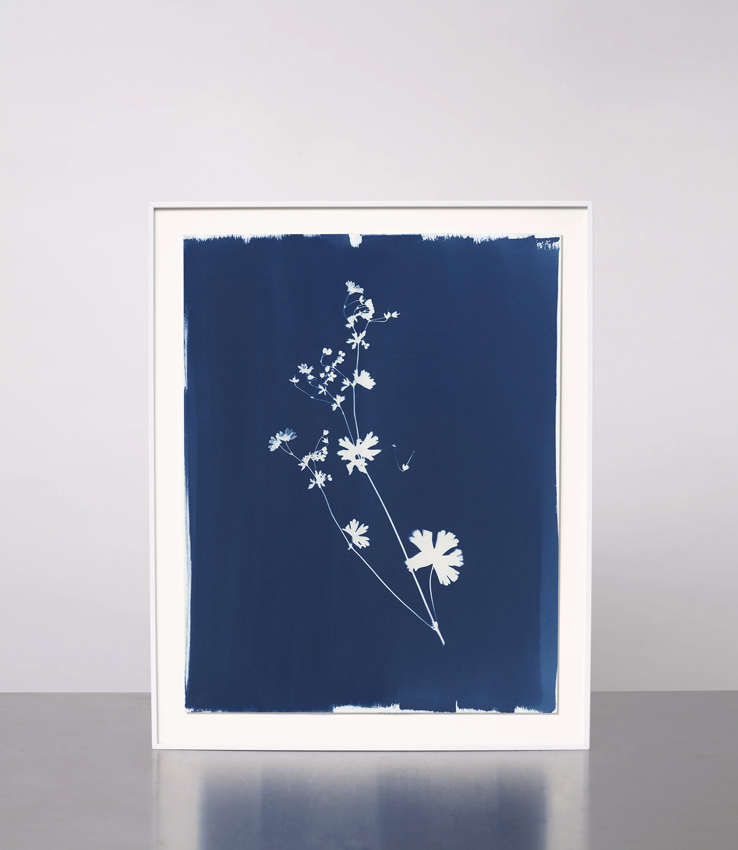 KasiaWozniak_Cyanotype_18.jpg