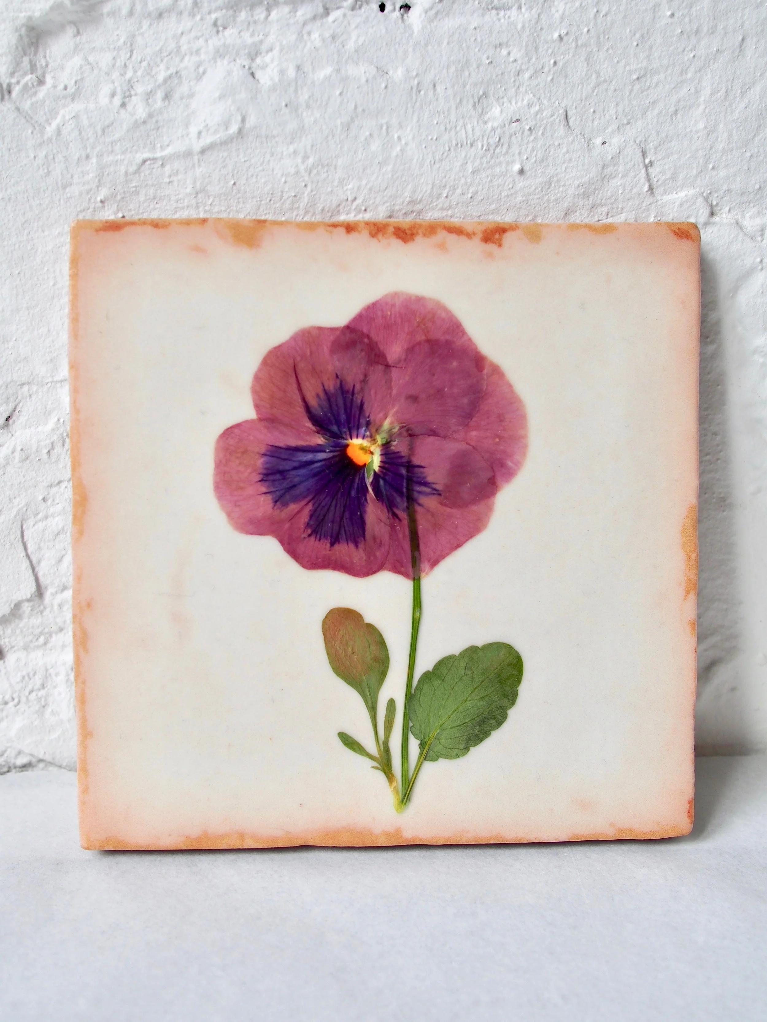 Pressed Flower Tiles — JamJar Edit