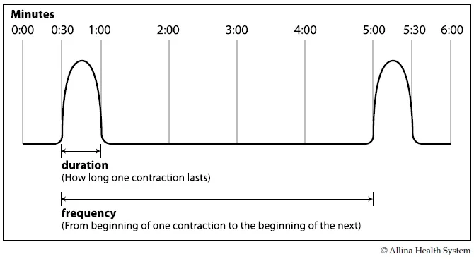 Contractions in Labor - Be Empowered Birth Series — Little Lilacs Birth ...