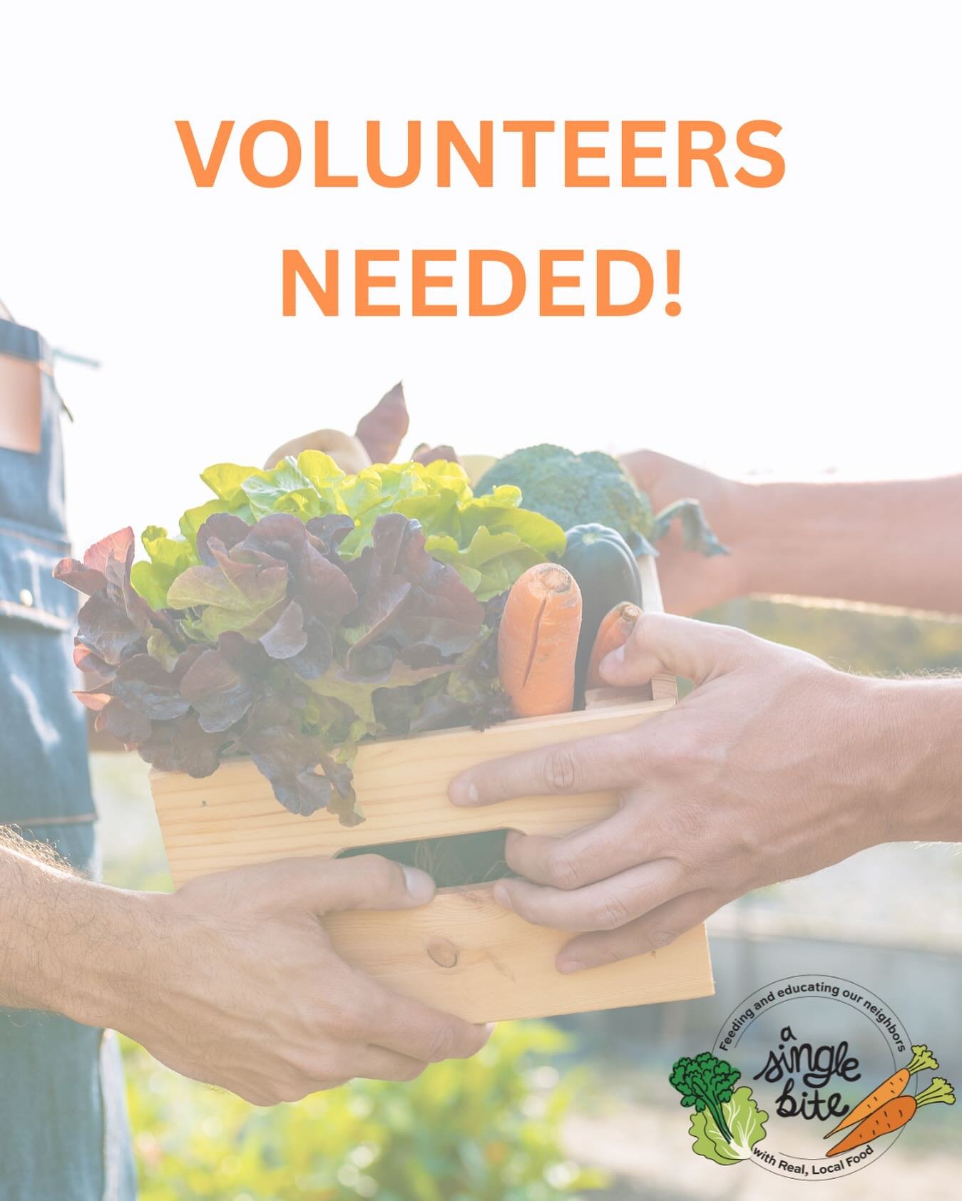 With the harvest season upon us, A Single Bite is recruiting Volunteers for Food Prep &amp; Processing, Sorting &amp; Packing, Receiving &amp; Inventory, and more!
The Food Hub will be operating Monday-Thursday 10-2 for these purposes, Volunteer time