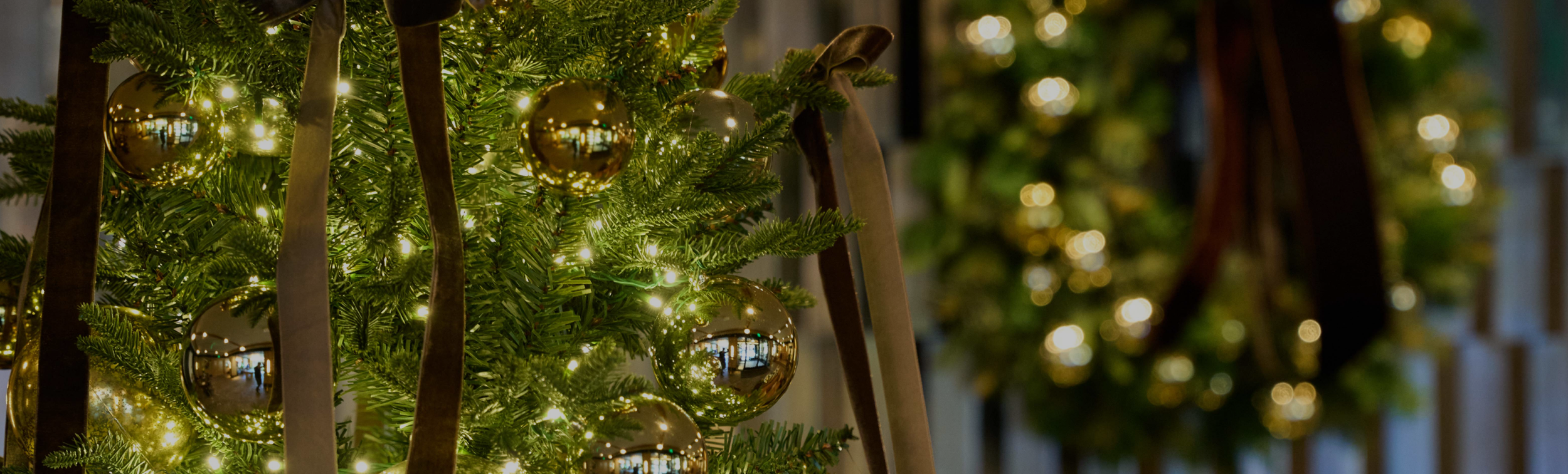 header-holidays2.png