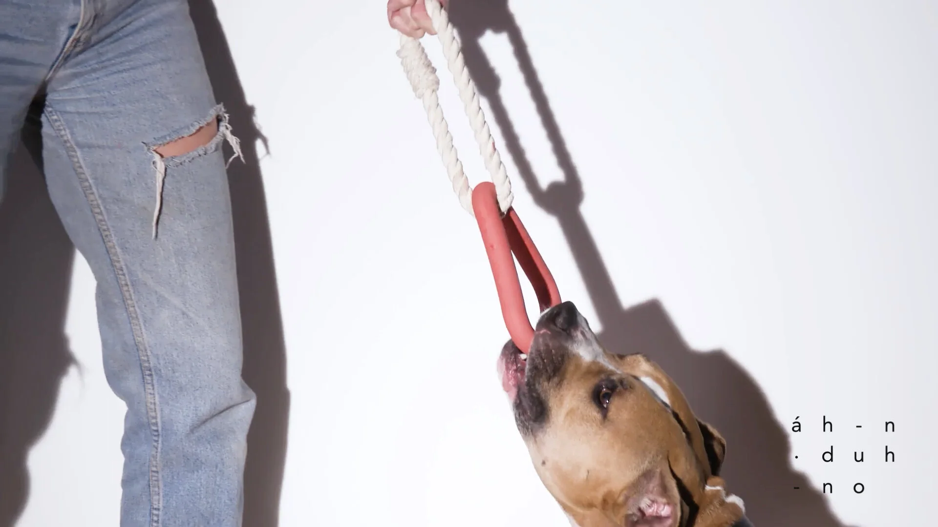 WIldOne_FeelFree_Campaign_AA_20191109_ .001.jpeg