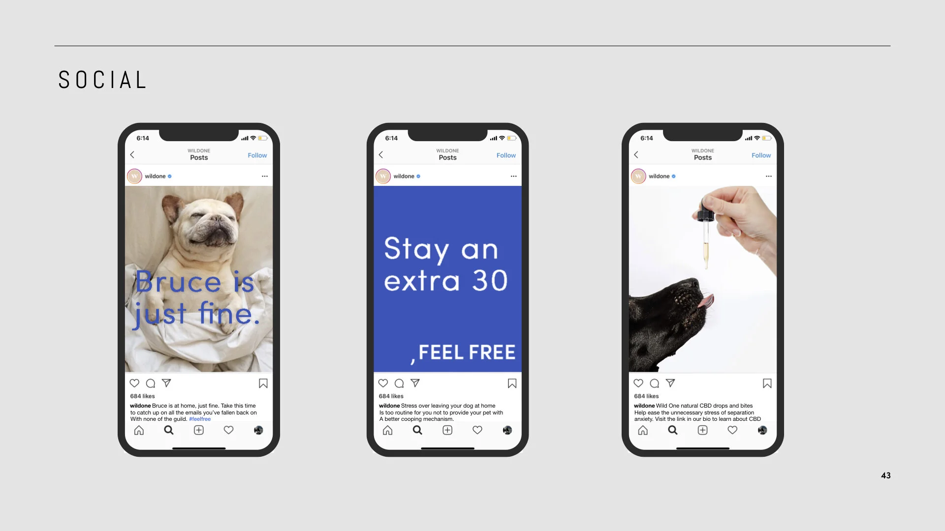 WIldOne_FeelFree_Campaign_AA_20191109_ .043.jpeg