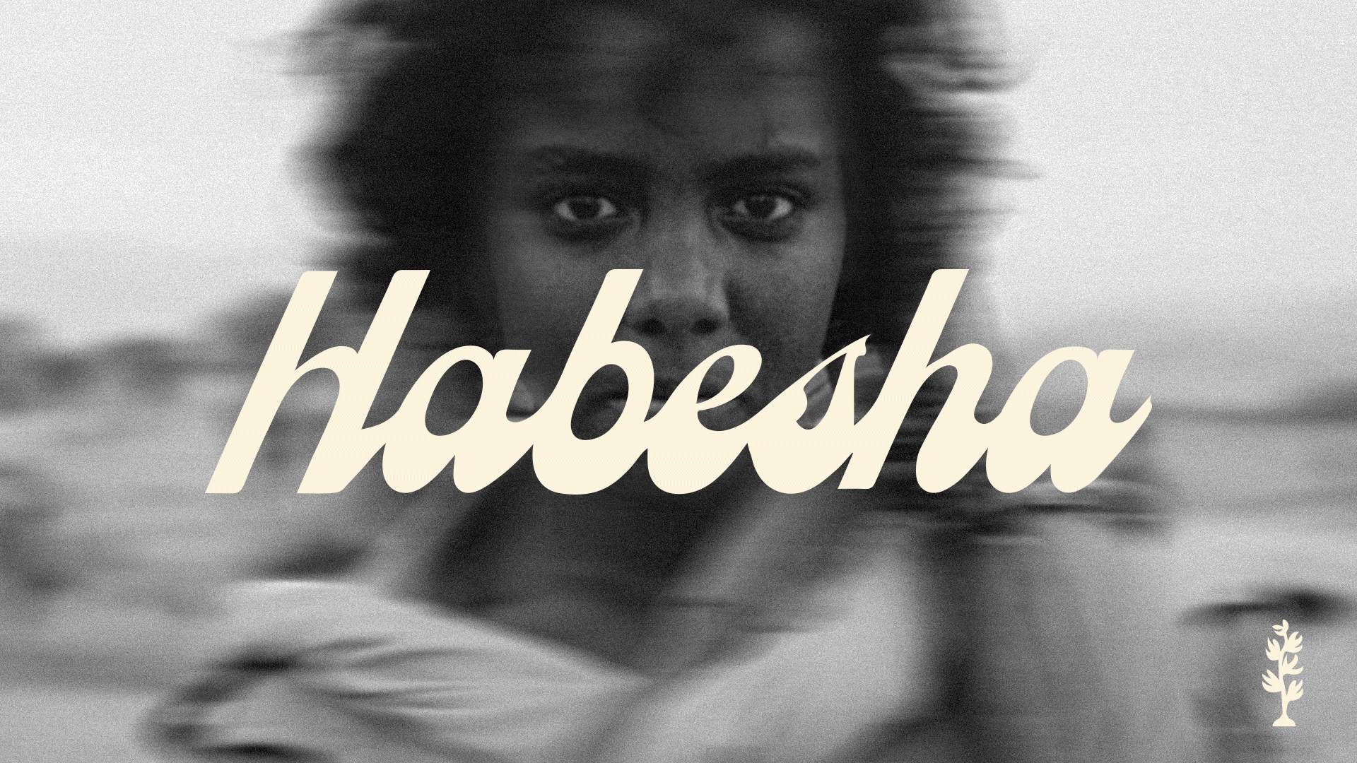 Habesha-Project_DigitalPortfolio_2024_KeyFrame_.gif