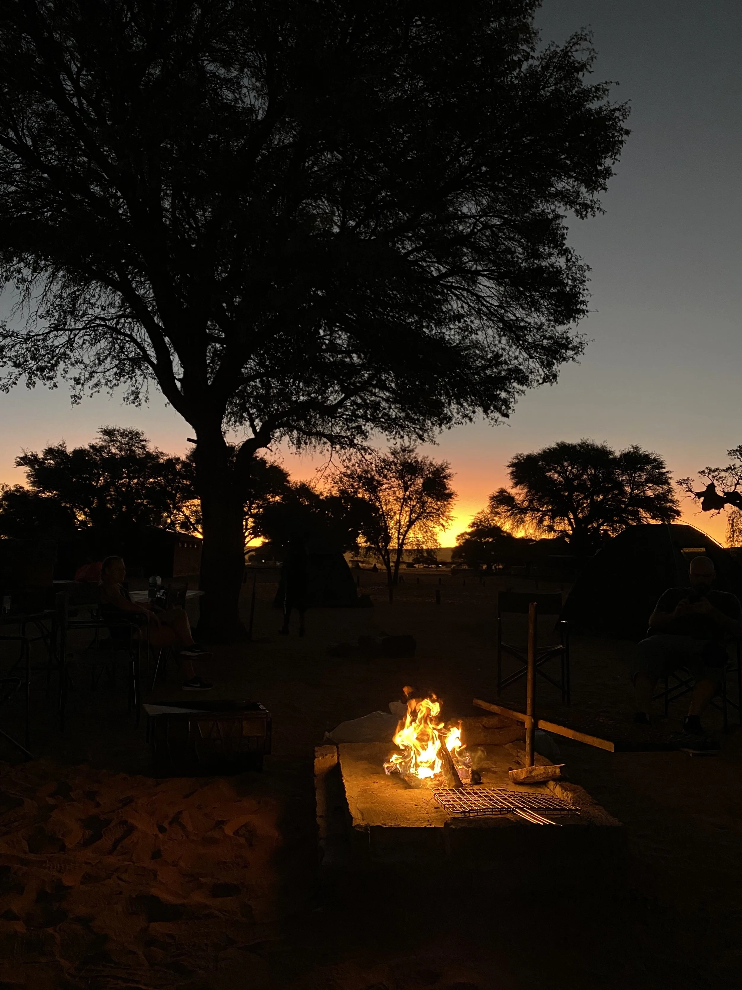 campsite with camp fire under tree at sossusvlei