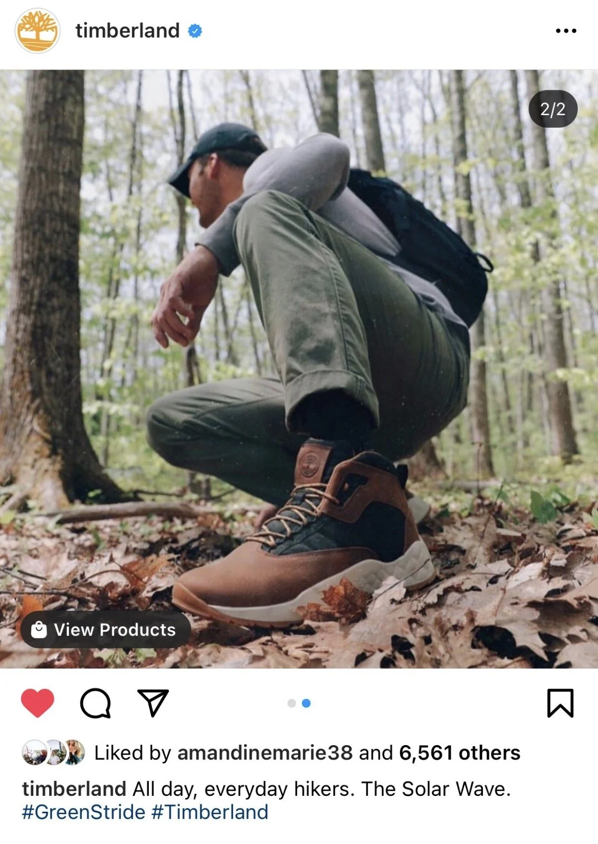 timberlandfeed.jpg