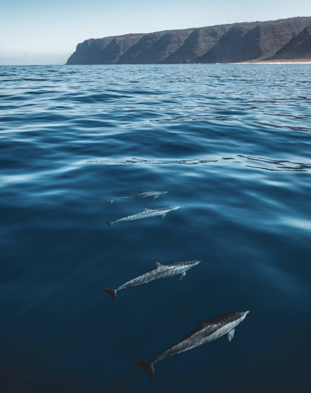 Screenshot 2026-04-29 at 10.39.18 PM.png