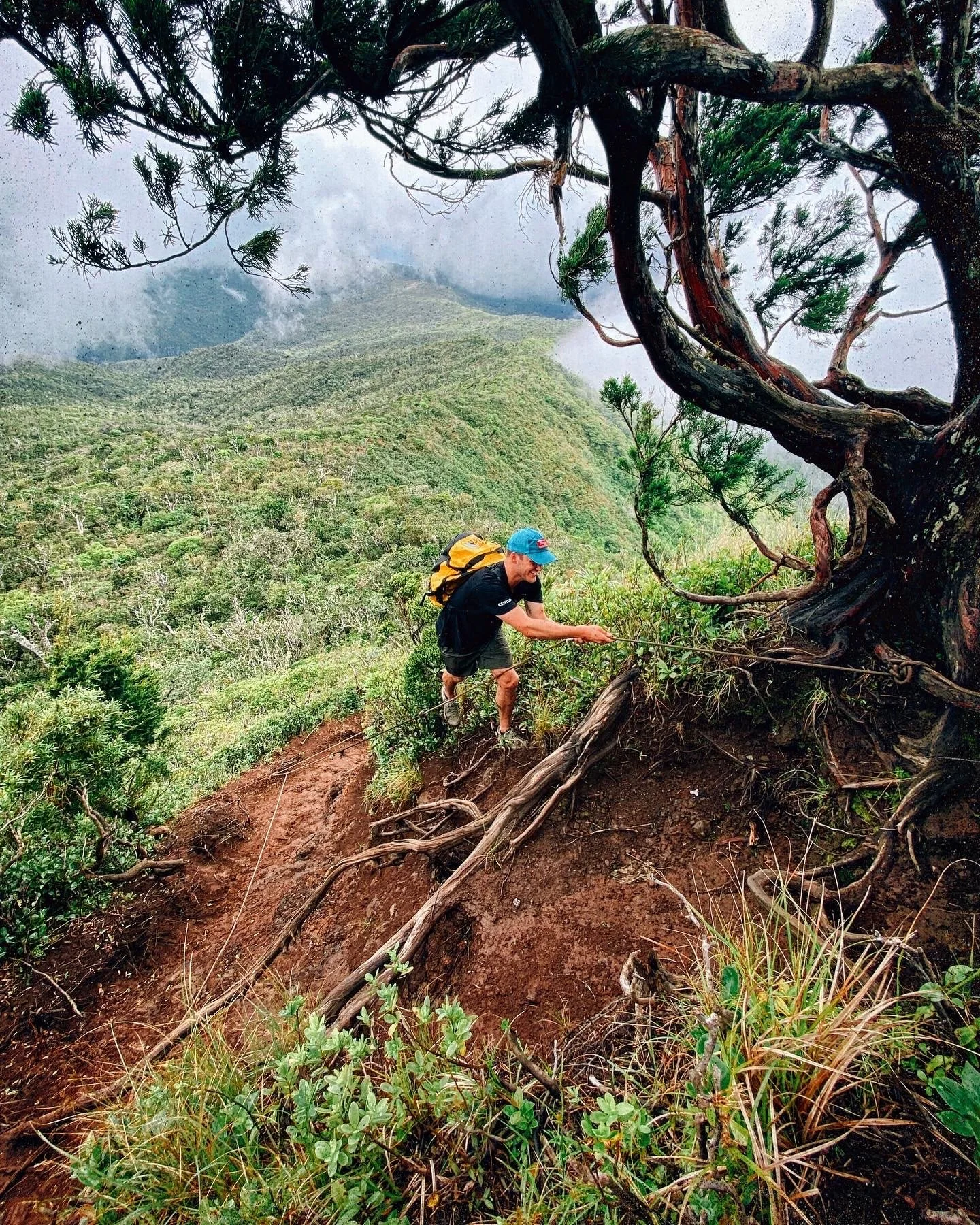 Hiking in Mauritius Africa, cloud forest, trail with guide ropes