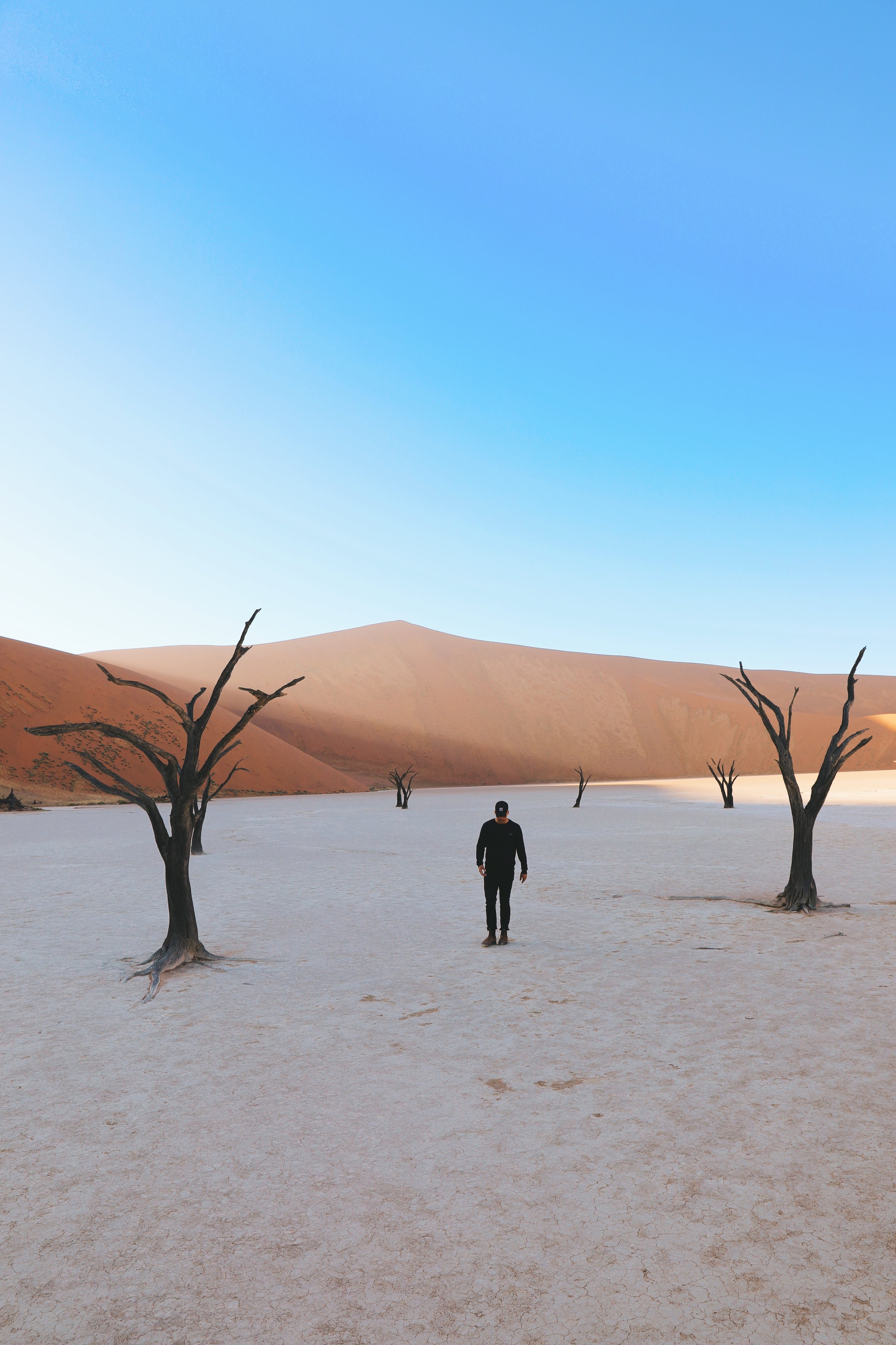 walking around Deadvlei at Sossusvlei in morning light with dead trees and red sand dunes in background over salt pan clay ground