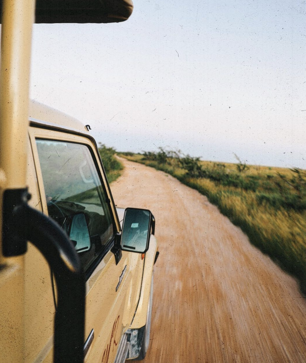 Safari Game Drive through Etosha National Park in Namibia (4x4 and road)