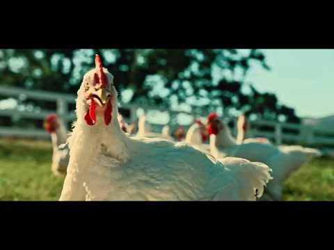 Foster Farms - Girl Group - Feels Good To Be Free Range - TV Commercial - 30"