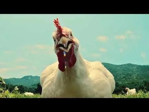 Foster Farm Free Range Boy Band