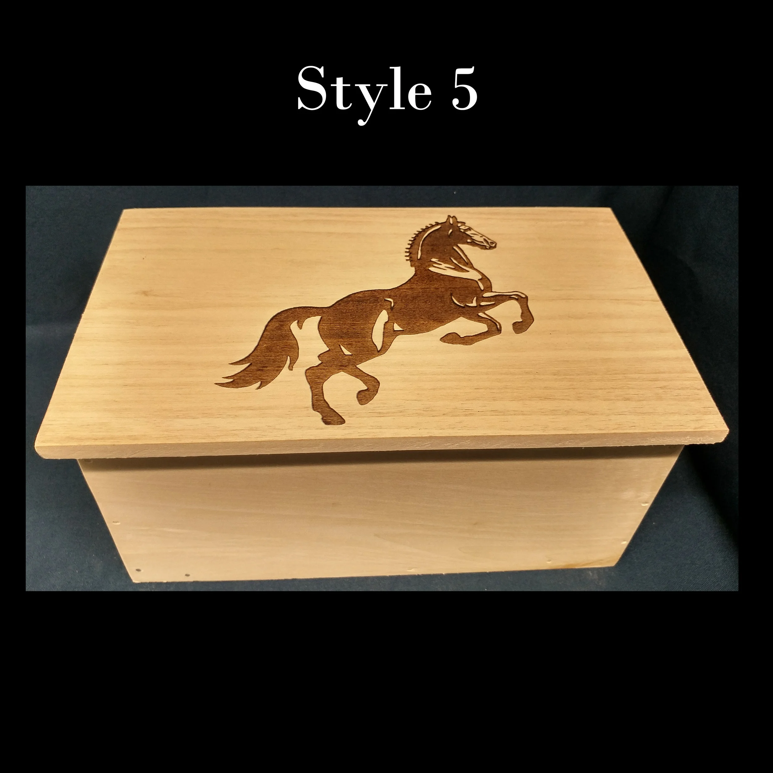 box 5.jpg