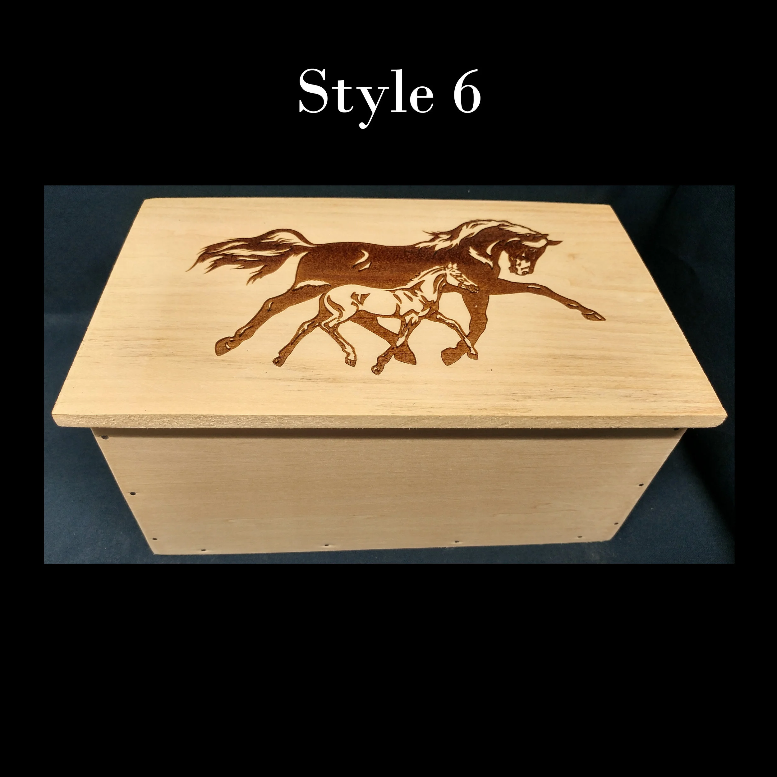 box 6.jpg