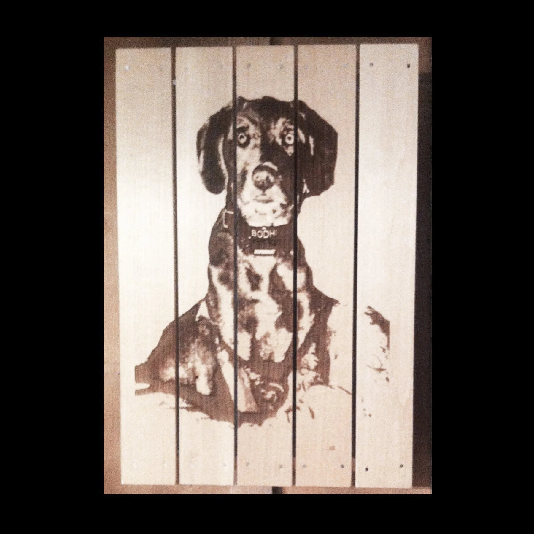 Photo Pallet 3.jpg