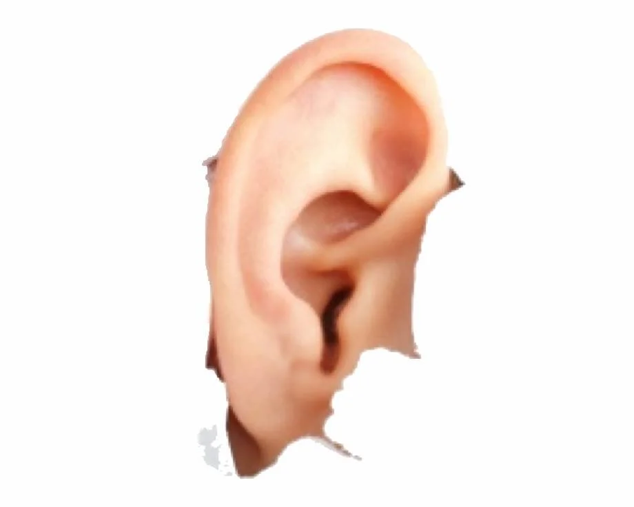72475326_1873424526136631_800216028595355648_n.jpg