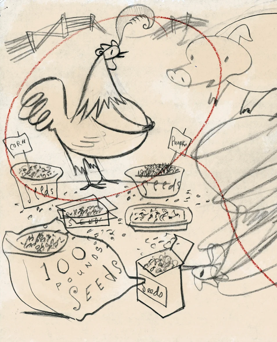 click upper right corner of images to enlarge above: preliminary rough SKETCH developing the look of the main character, Chicken Chuck.