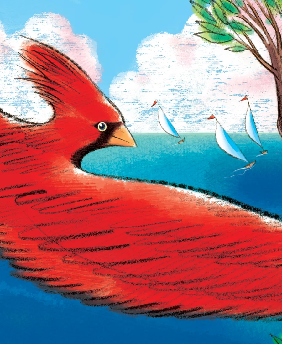 above is a close-up view of the final illustration , depicting the red Cardinal and the sail boats