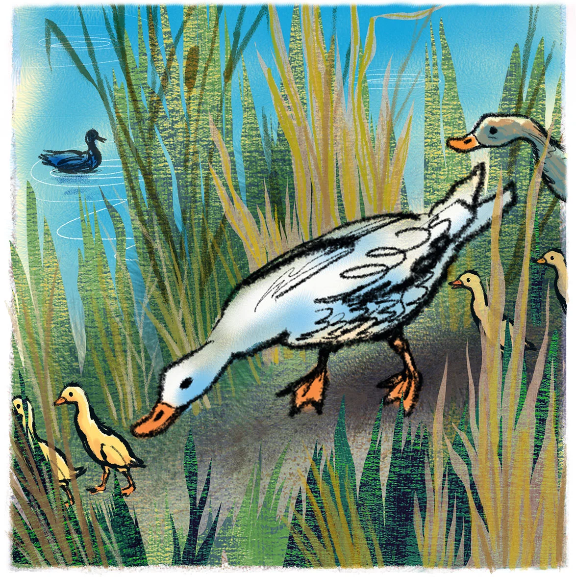 click upper right corner of images to enlarge Life on the River (detail of illustration) -make sure to also view the steven’s picture books section for many more kids related illustrations!