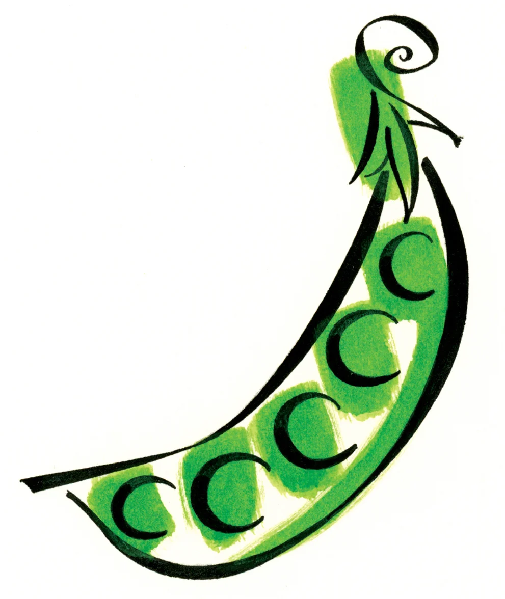 ^ an advertising/packaging illustration by Steven Salerno created for Healthy Choice frozen foods